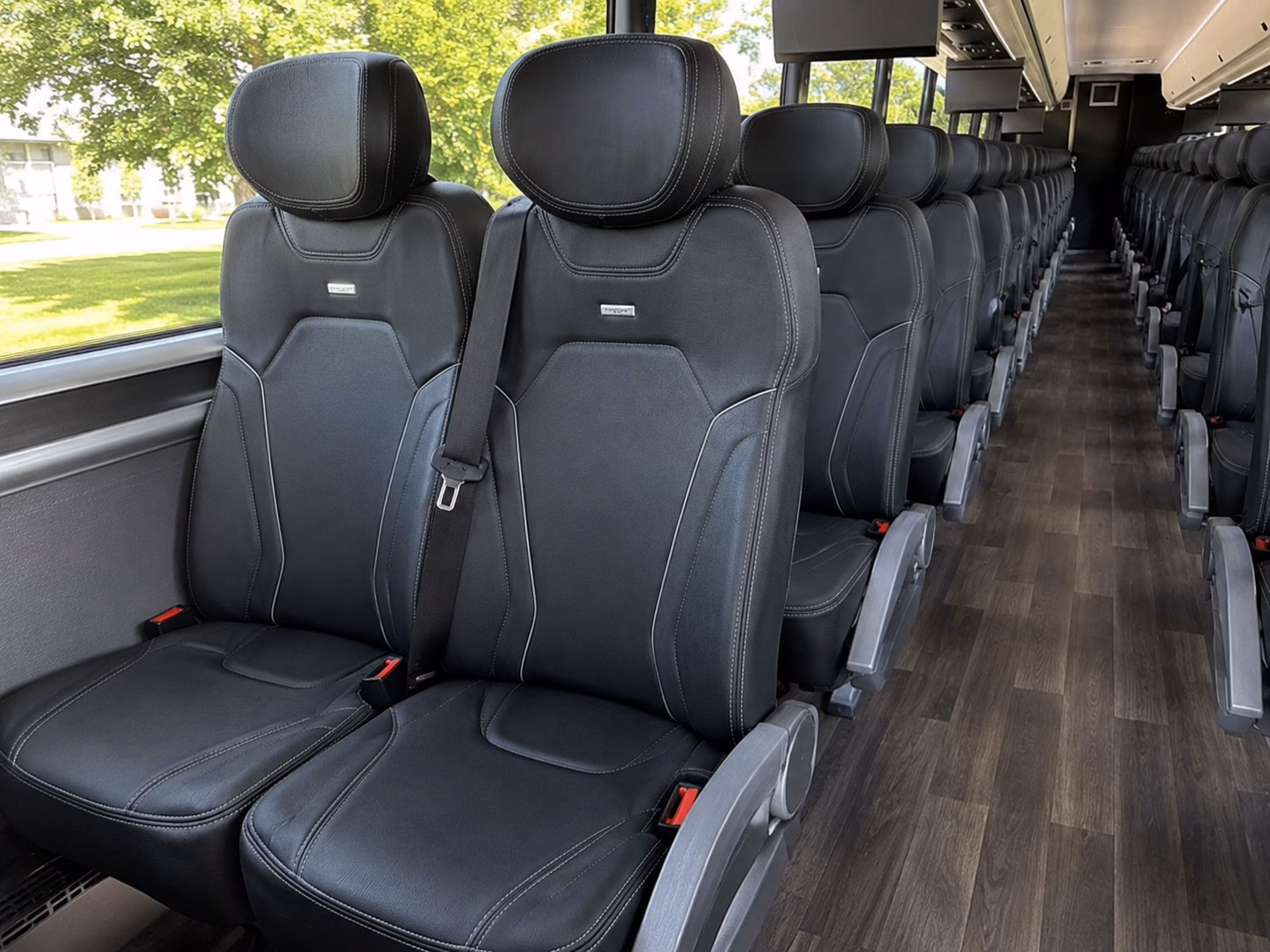 encinitas wedding transportation